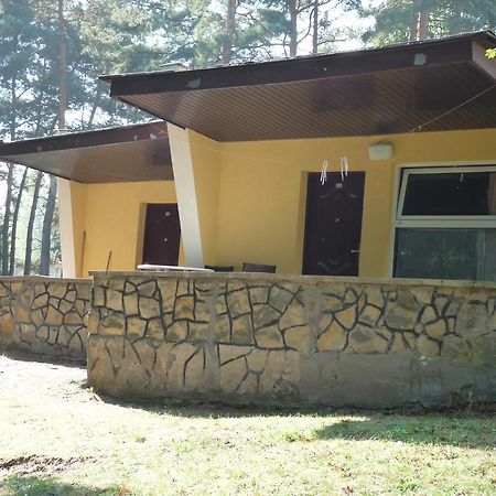 Hotel Osrodek Wypoczynkowy Jelonek à Wolsztyn Extérieur photo